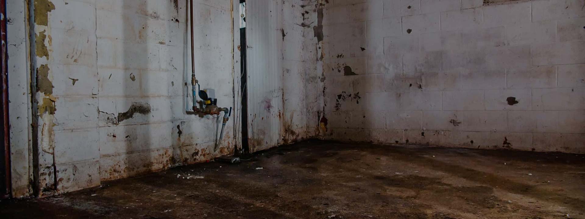 Basement Waterproofing & Foundation Repair Windsor